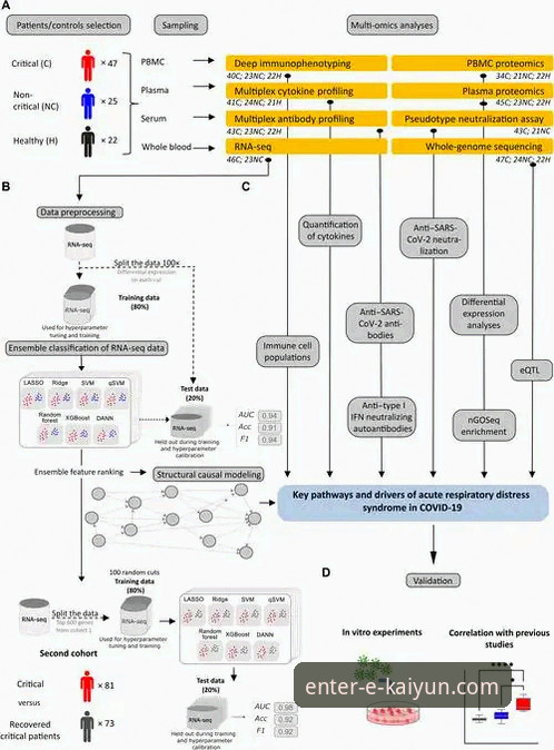 最新开云app手机版下载 阿根廷新星重伤事件的技术性剖析与信息获取详解